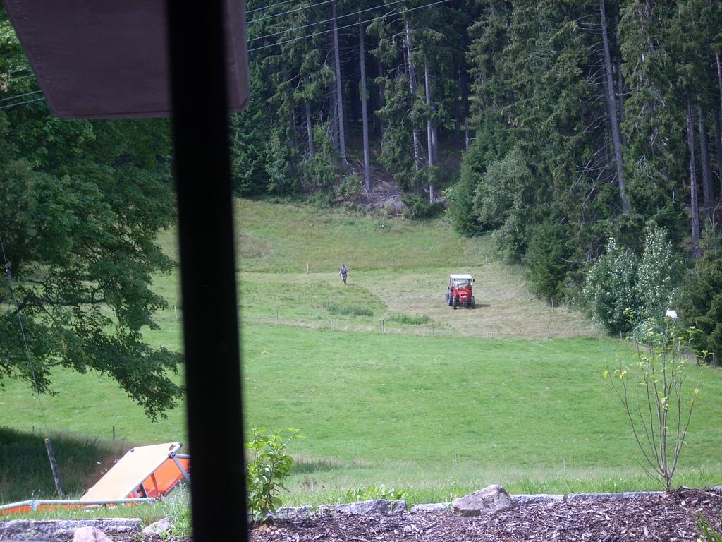 Tannenhof Apartament Schluchsee Zewnętrze zdjęcie