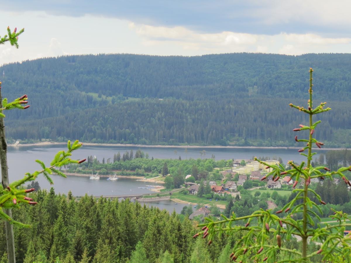 Tannenhof Apartament Schluchsee Zewnętrze zdjęcie