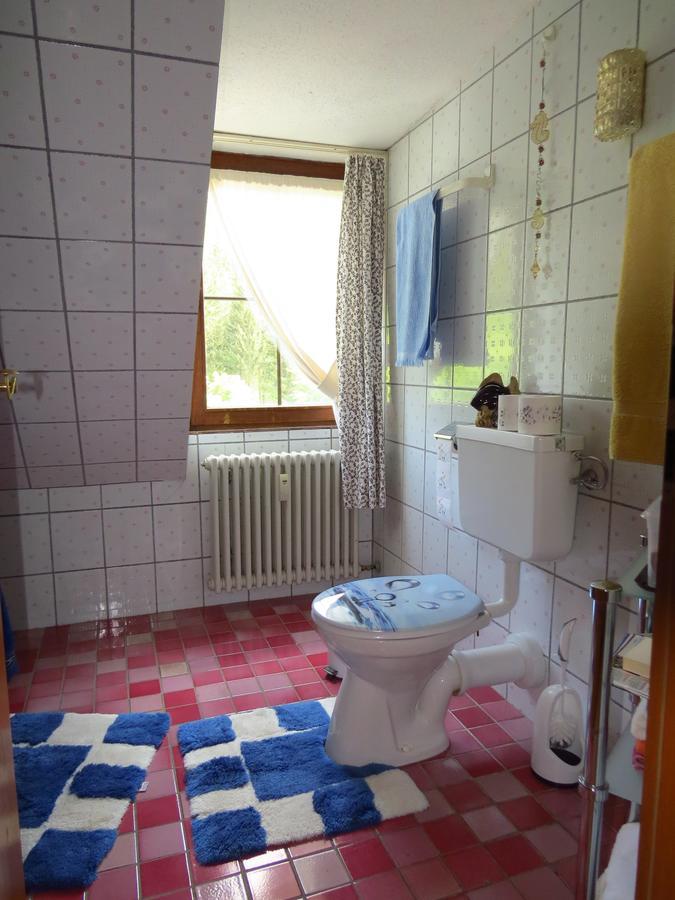 Tannenhof Apartament Schluchsee Zewnętrze zdjęcie